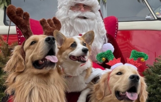 Santa Paws Dana Point Harbor