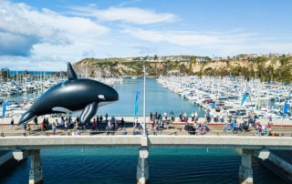 Dana Point Festival of Whales 2025